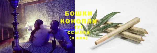 индика Баксан