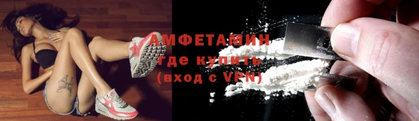 индика Баксан