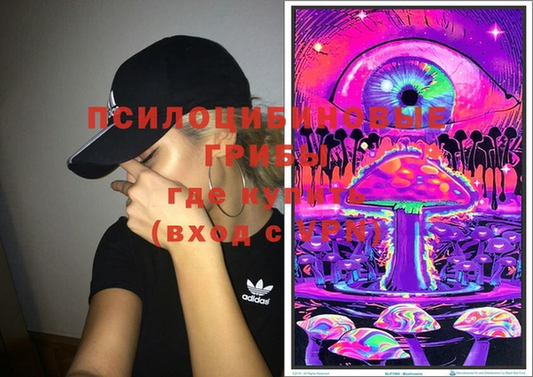индика Баксан