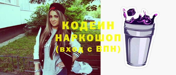 индика Баксан